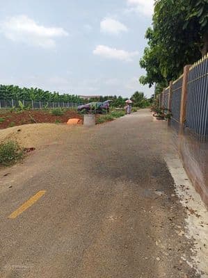 Bán đất 1 sẹc đường Cây Gáo, 100m2, Trảng Bom, Đồng Nai