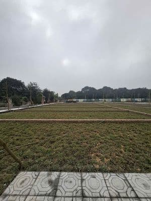 Đất f0 hòa lạc, full thổ cư tuyến metro hà nội, 100m2, giá 2,82 tỷ