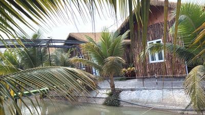 cần bán homestay 2900m2 tại đức hoà long an