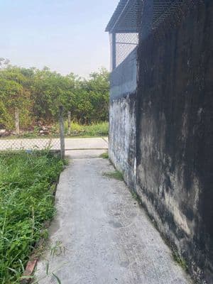 Nhà ở cấp 4 Xã Thủ Thừa, dọn vào ở ngay