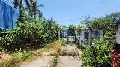 Bán nhà mặt tiền Trịnh Quang Nghị, xã Phong Phú, 333,5m2, ngang lớn