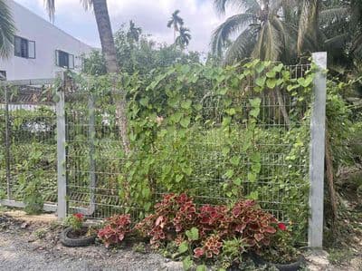 bán đắt an thạnh 10