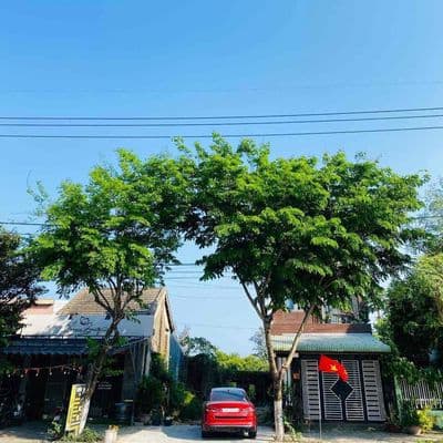 Bán đất mặt tiền Mai Đăng Chơn 112,8m² đối diện trường kinh doanh tốt