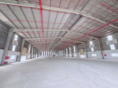 Cho thuê xưởng an phước long thành