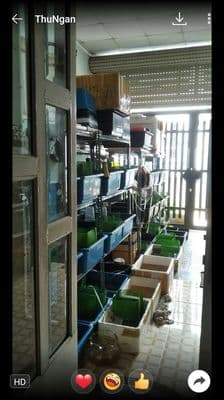 Cần bán nhà đẹp SỔ HỒNG CHÍNH CHỦ