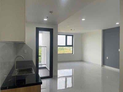 Chính chủ cần cho thuê chung cư phú mỹ