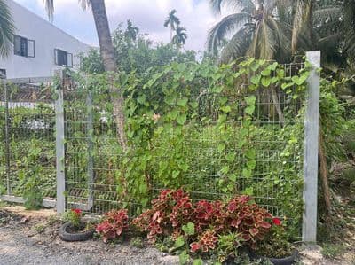 Đất an thạnh 10 283m2 có 141m2 thổ cư đưong xe hơi tiện xây dựng