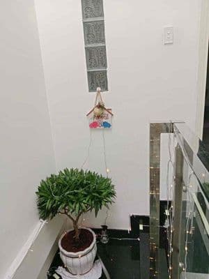 Cho Thuê Nhà Nguyên Căn Gò Vấp