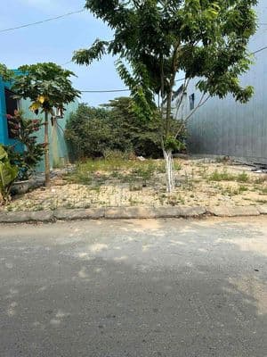 bán đất Khu Tây Nam Làng nghề sát Võ chí công chung cư