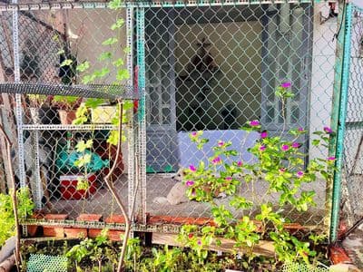 Bán nhà Long Hậu 64m2 gần Q7, giá rẻ