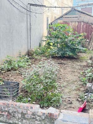 Bán gấp 51m² trục chính kinh doanh phúc thọ – mai lâm – đông anh