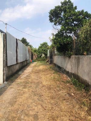 Cần bán gấp nhà vườn Rạch Bình Thuận!