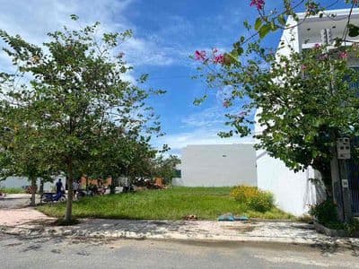 Thơm phức có giá rẻ cho khách