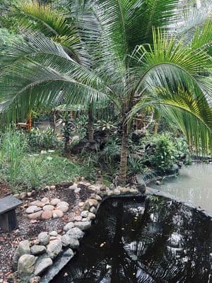 Vườn Nghỉ Dưỡng Sổ Riêng Thổ Cư - Long Khánh - Thành Phố Đồng Nai