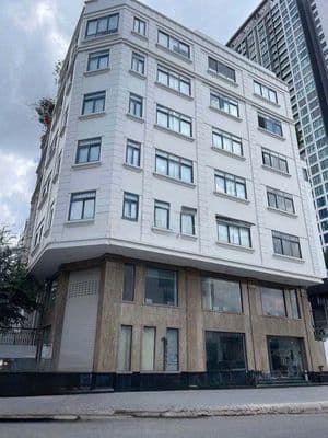 Cho thuê tòa nhà căn góc siêu khủng dt 1.200m2 trần não, quận 2