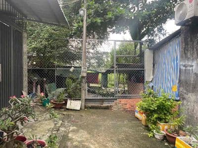 Đất 29x28m đường Tân Xuân 3B xã Tân Xuân, Huyện Hóc Môn, Tp Hồ Chí Min
