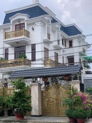 Nợ bank - bán biệt thự tâm huyết -đối diện công viên- 244m rộng 12m