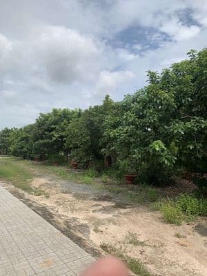 Đất nhà vườn
