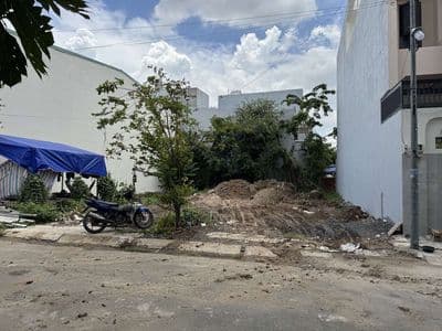 Cho thuê đất trống hoặc cho thuê kho, nhà xưởng