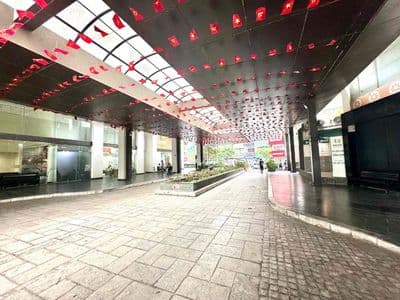 56tr/m2 176m2 chung cư TSQ Mỗ Lao Hà Đông – căn góc siêu rộng 176m²