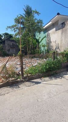 kiệt Ô Tô Đàm Quang Trung , Thích hợp Vc Trẻ