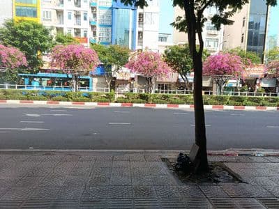 CHO THUÊ MẶT BẰNG KINH DOANH