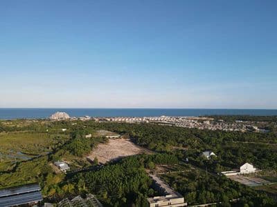 Bán đất bình châu 966m² đi bộ ra biển 2 phút