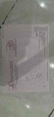bán lô trục biệt thự tdc nhà vườn hninh