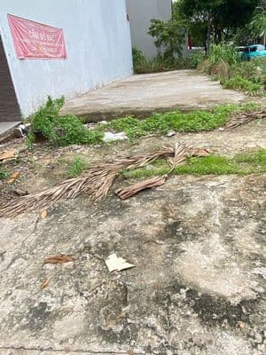 Đất đẹp-40m ra huỳnh tấn phát- xe hơi tới đất- xây dựng tự do