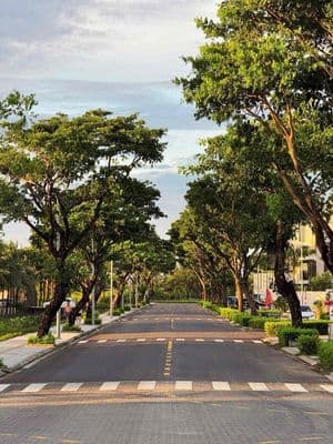 Bán đất V5 FPT 104.3m2 (6x17.4m) hướng Nam vị trí rất đẹp, trục thông