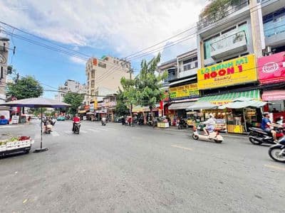 Nhà mặt tiền kinh doanh chợ tân mỹ, q7. dt 5x20m.