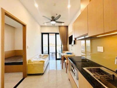 Cho thuê căn hộ 1 phòng ngủ - nam hoà xuân - gần minh mạng