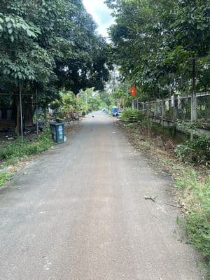 Bán đất mặt tiền đường Tân Thành 60