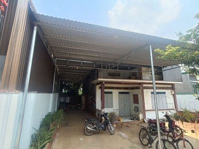 trân nhân tông