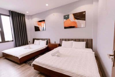 viila mới chính chủ hai mặt tiền 390m