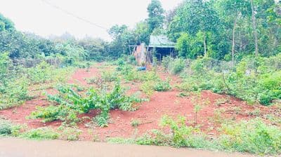 Bán đất long phước bà rịa vũng tàu