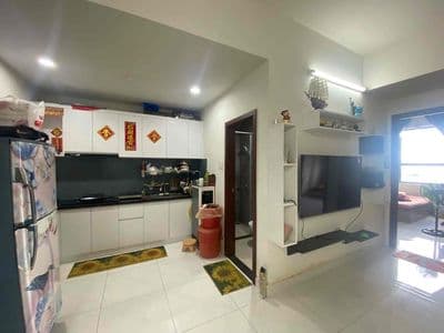 cho thuê căn hộ 60m2, 2pn, full nt green river quận 8