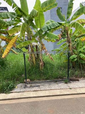 Đất gần bên Chợ Long Trường, Thủ Đức