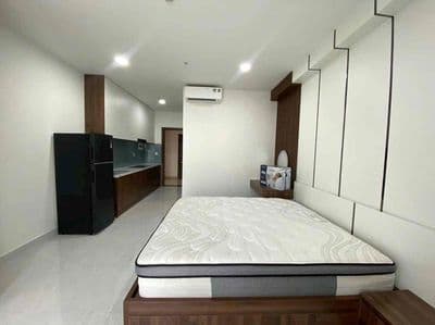Cho thuê Sunrise Riverside 1PN 10tr gần PM-Hưng Q7