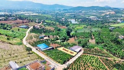 354m2 đất xã Nam Ban sẵn cafe trên đất, ngang 10.6m chỉ 1.1 tỷ