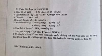 đất nông nghiệp Bình chánh Tphcm