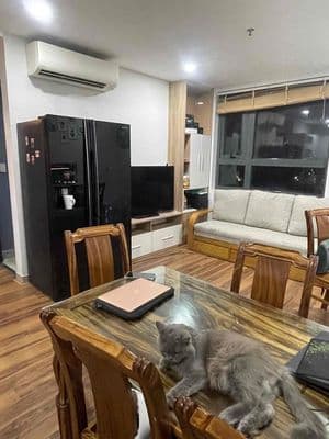 Cho thuê căn hộ nội thất cao cấp 9tr 2pn 2wc căn góc tại thủ dầu 1
