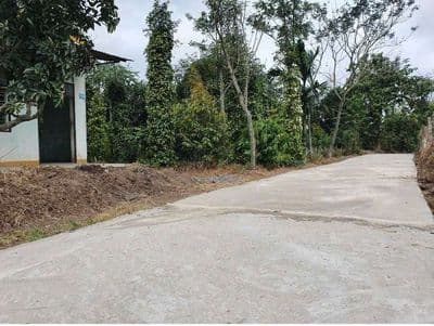 đất đầu tư dài hạn