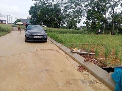 Đất nền Phú Cát Hòa Lạc Sổ Đỏ trao tay