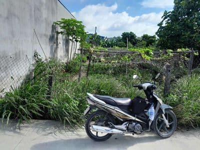 Đất 7 x 48, 50m đường ôtô thông gần ngã 3 Mỹ Hạnh - Giáp Hóc Môn