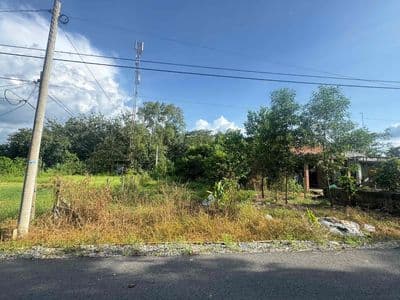 Chính chủ bán đấtcủ chi sổ hồng riêng, có 300m² thổ cư giữa lúc