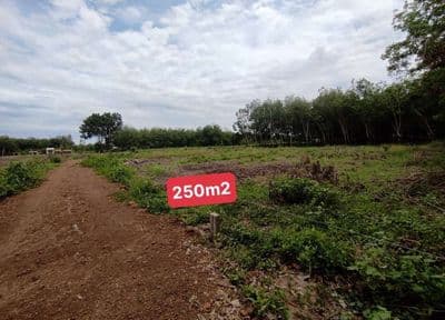 đất trồng cây lâu năm phân lô cách 1 căn nhà là mặt tiền đường lớn