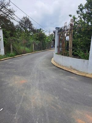 Bán đất