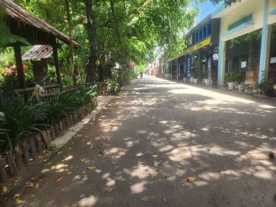 cho thuê hơn 3000m2 khu trung tâm quận 12 thích hợp làm kho bãi, BBQ..