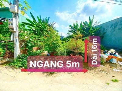 Bán đất lê văn lương long hậu